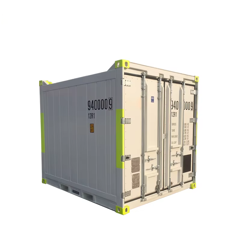 Standard Refrigerated Chiller and Freezer Double use 10 feet Reefer dnv Offshore Container